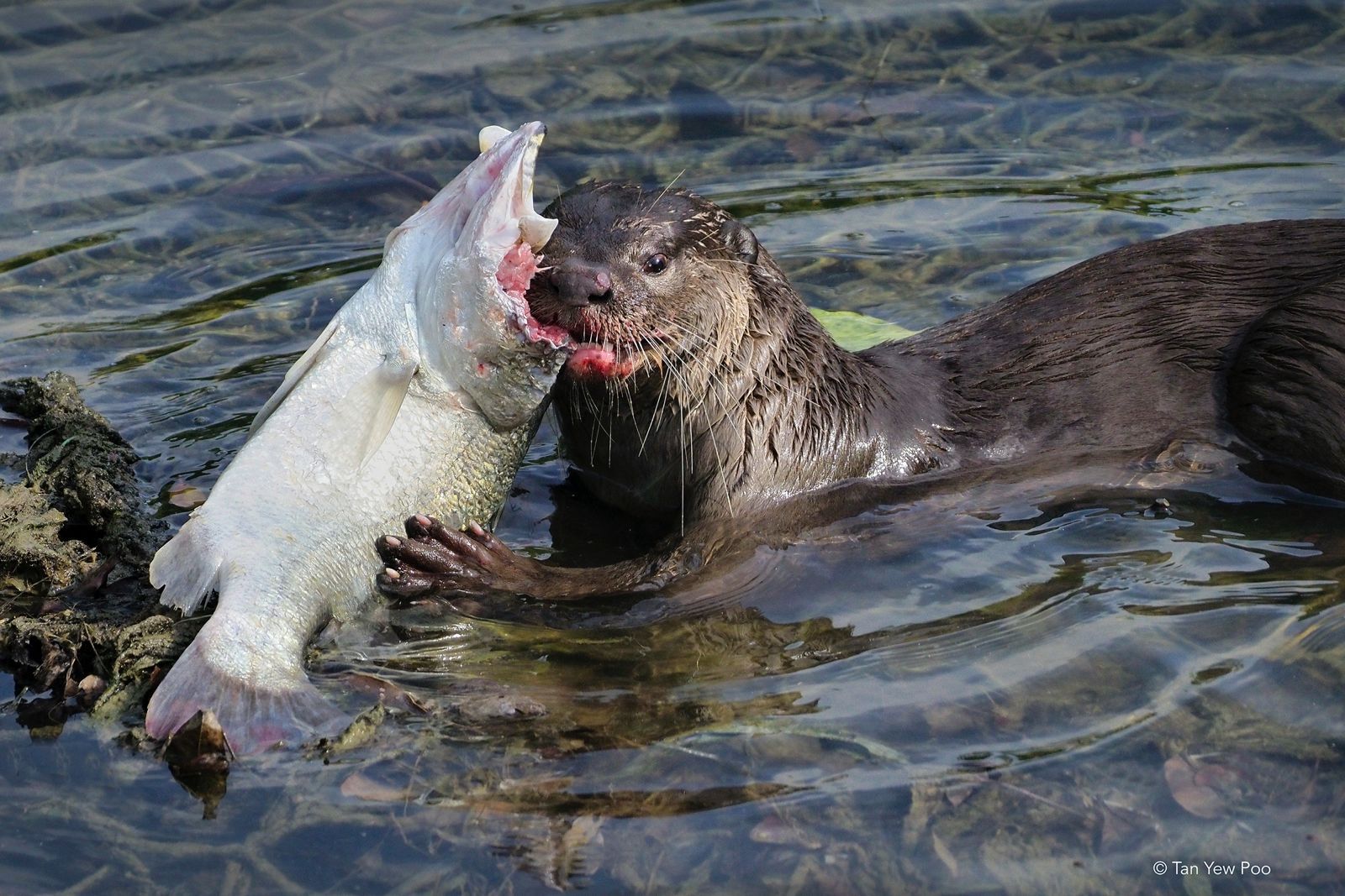 Have a Hearty Breakfast