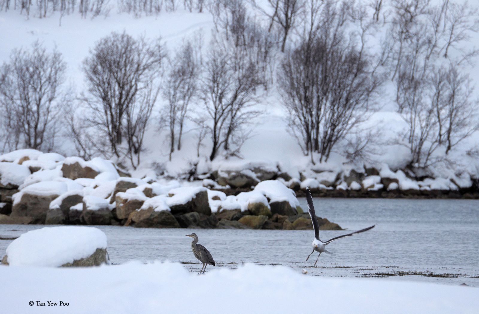 Norway — February 9