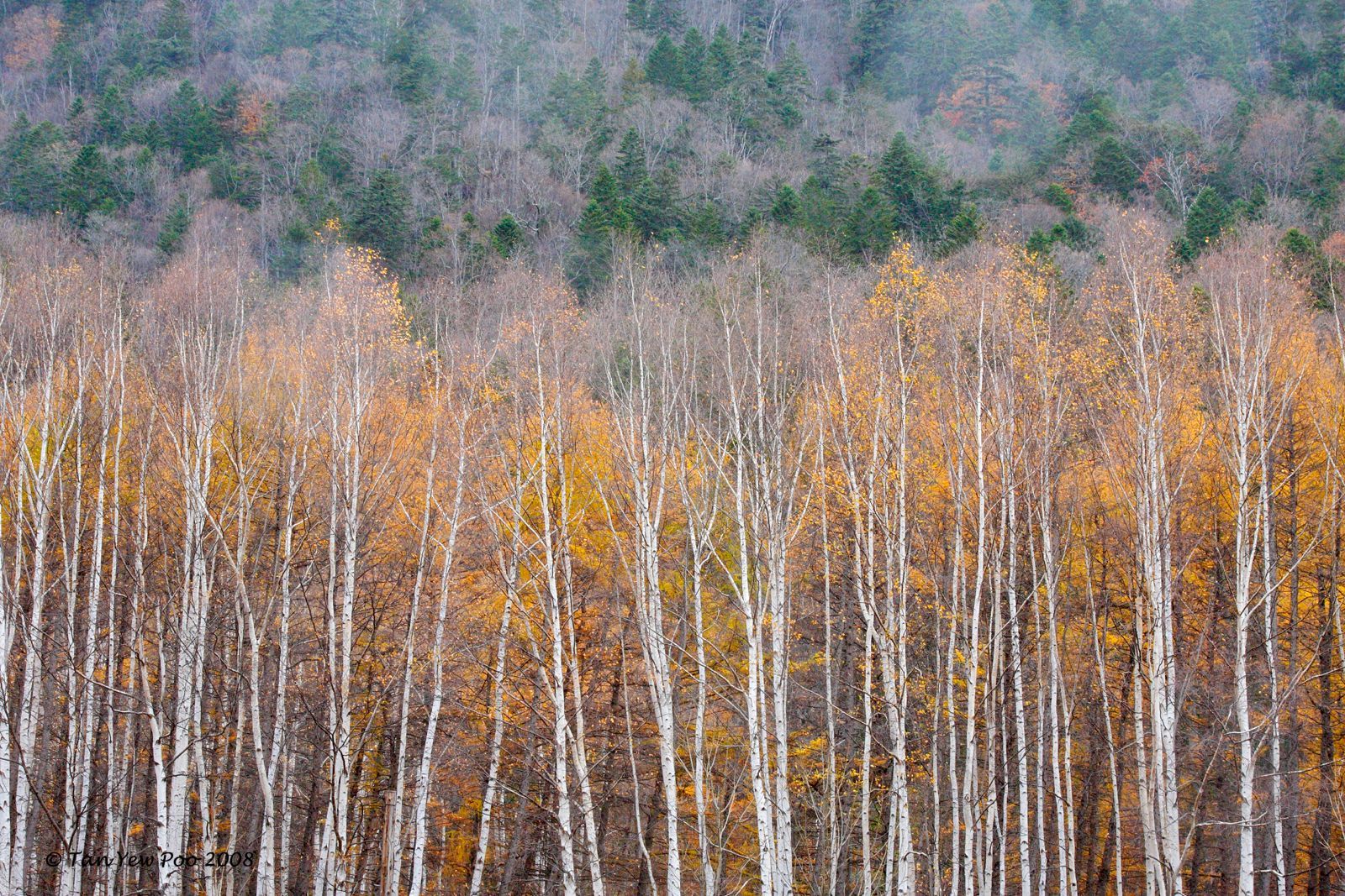 Hokkaido, November 2008